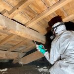 Traitement des capricornes et vrillettes pour protéger les structures en bois.