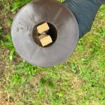Installation de pièges de détection de termites autour d’un bâtiment en Aquitaine.