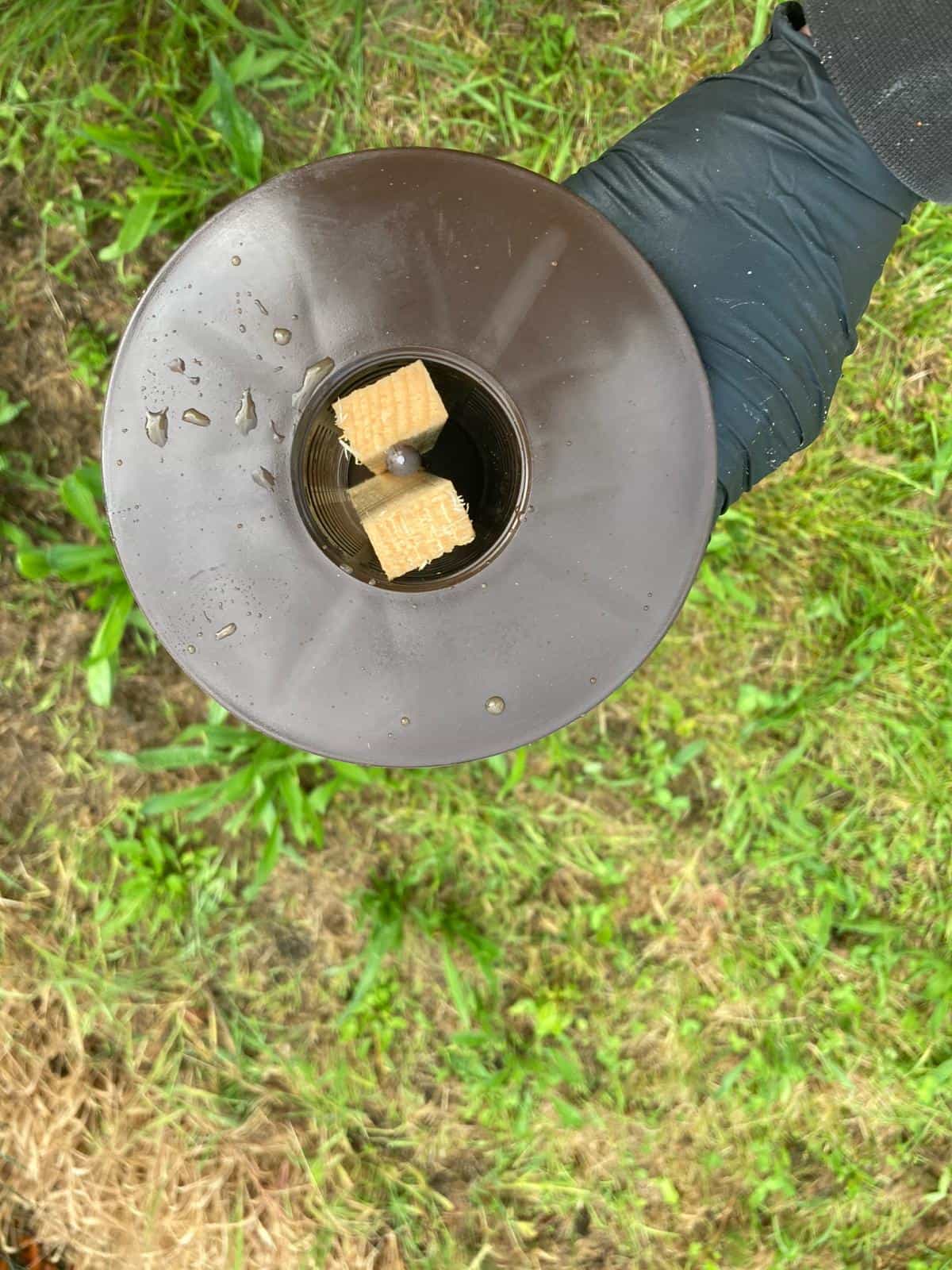 Installation de pièges de détection de termites autour d’un bâtiment en Aquitaine.