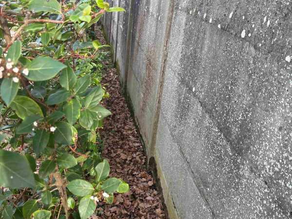 Pièges pour Termites