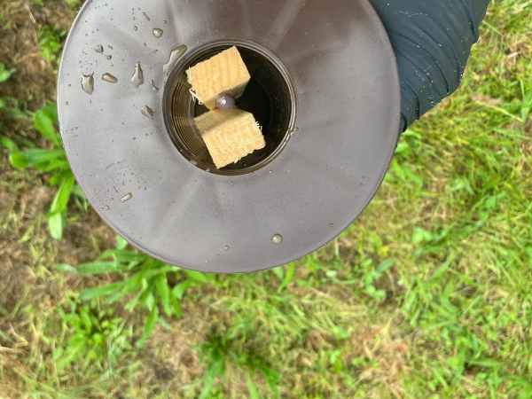 Pièges pour Termites