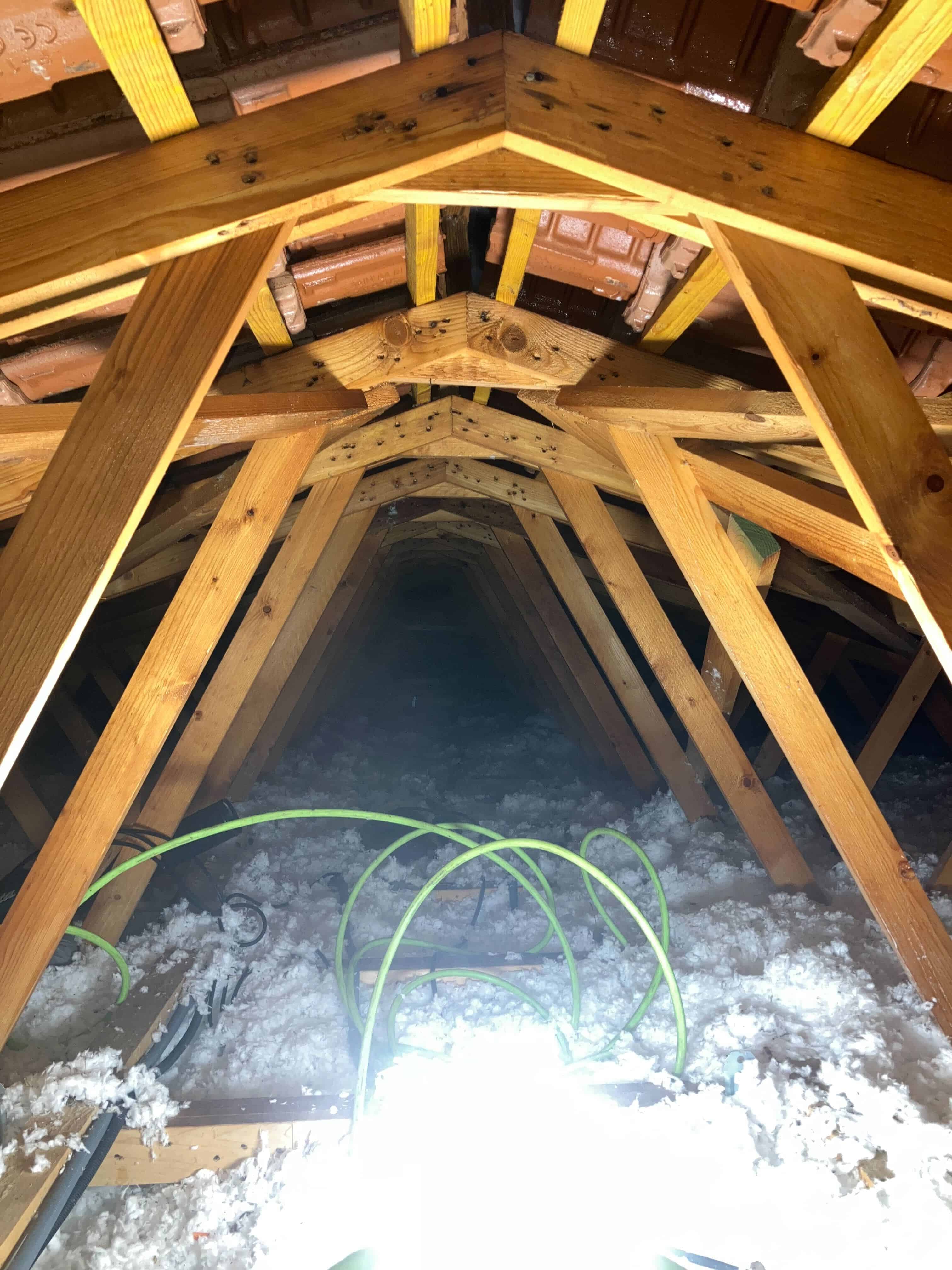 Traitement de Charpente par Pulvérisation à Bordeaux